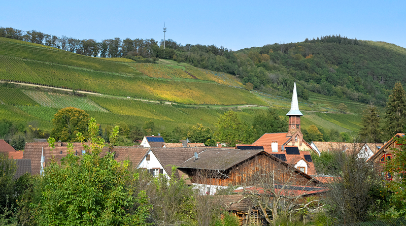 FVNW_Elemenet Website5